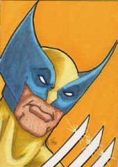wolvy_aug_sketchcard